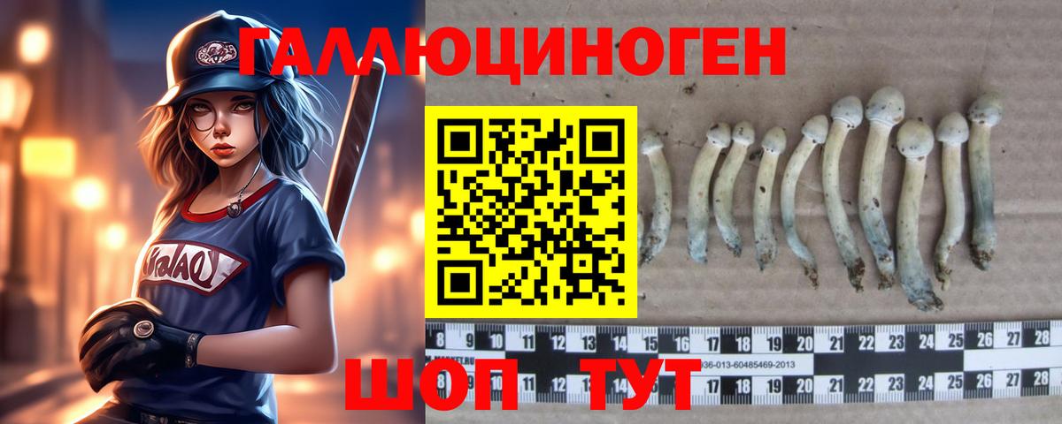 цена наркотик  Вход с VPN  Гуково  Псилоцибиновые грибы мухоморы 